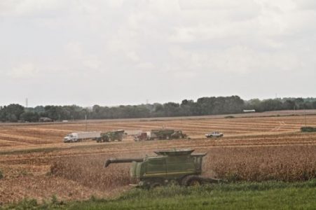 Fall 2014 in Northwest Alabama Image